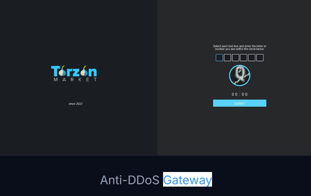 Third-party Torzon Market anti-DDoS gateway: character boxes and a circular distorted glyph. This directory has no submit control.